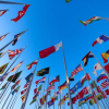 Slash UN Funding Before It's Too Late